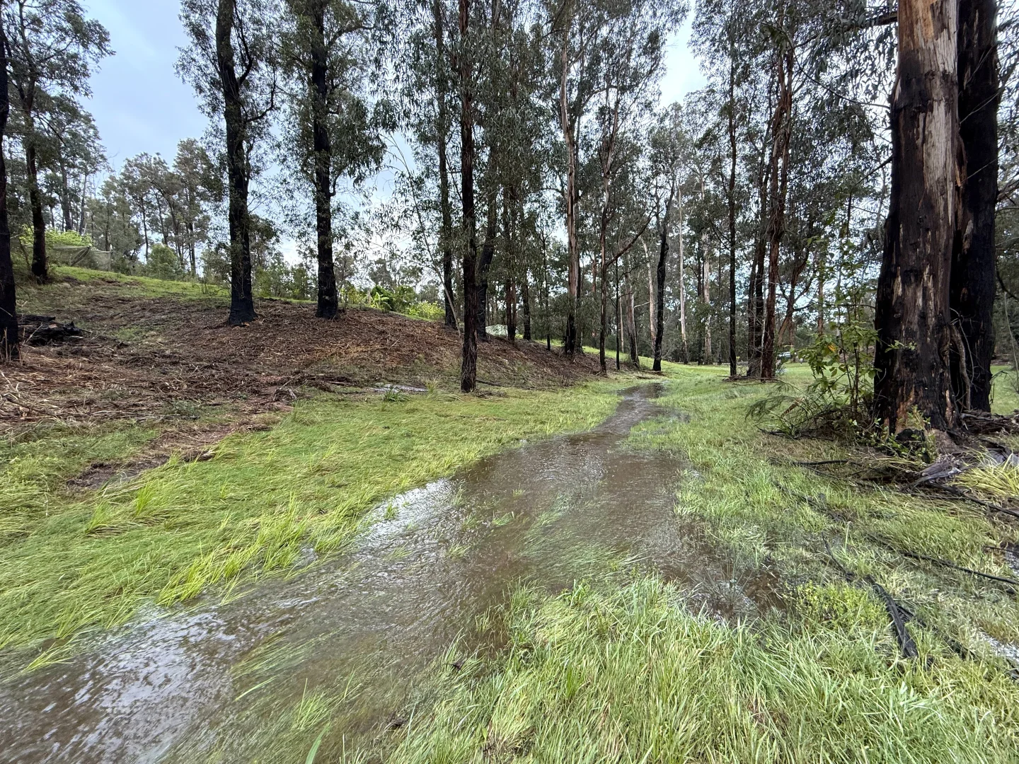 Additional image 26 of 38 Yarran Rd, Boydtown NSW 2551