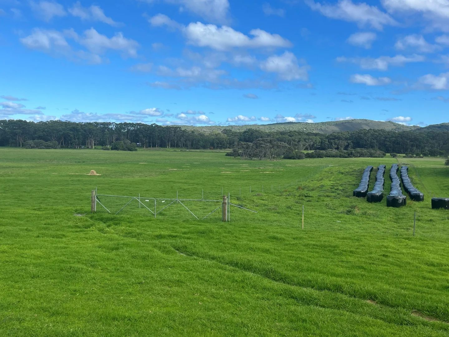 Additional image 11 of 181 Francis Road, Lowlands WA 6330