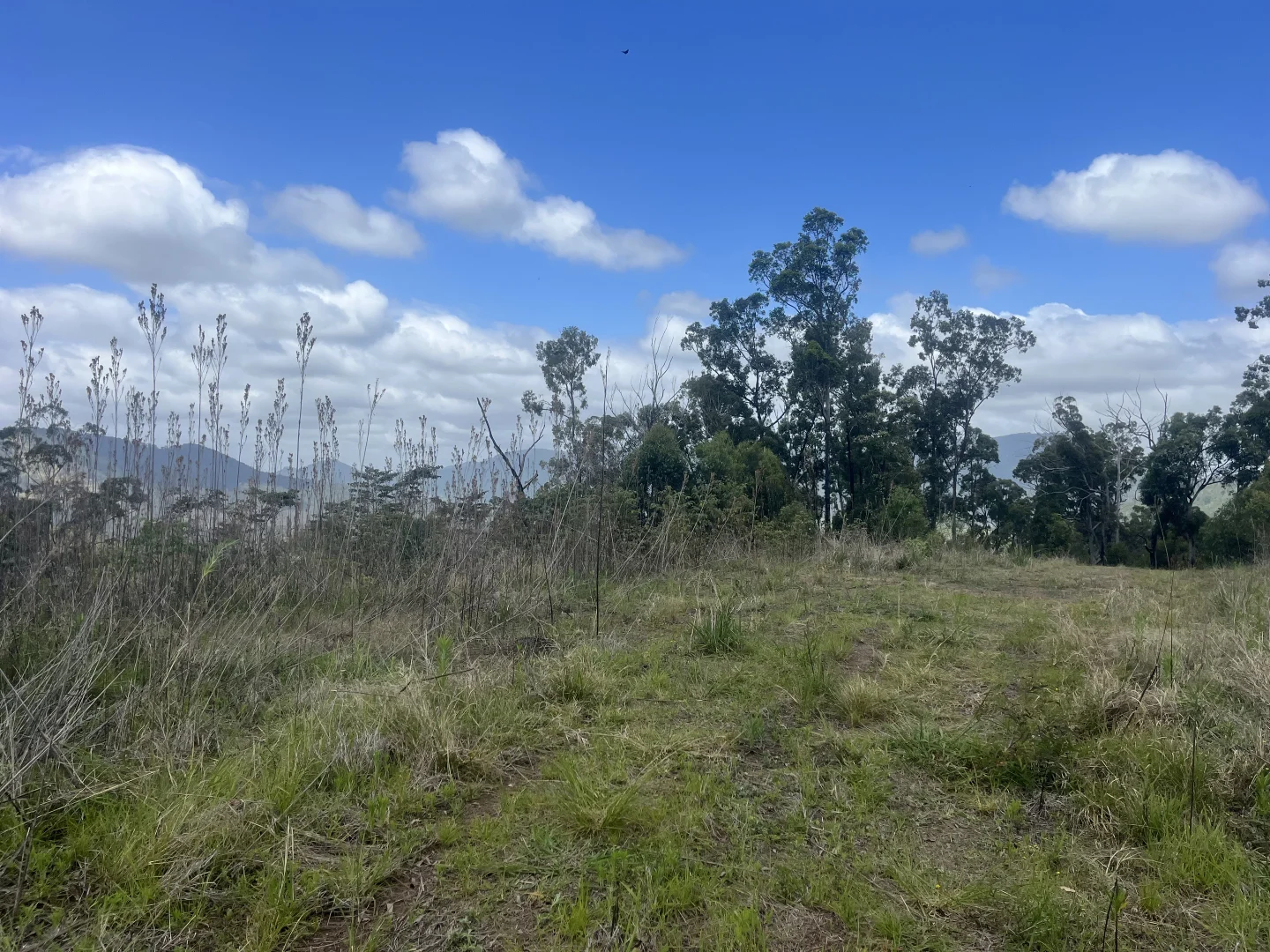 Additional image 19 of 173 Knodingbul Forest Road, Mount George NSW 2424