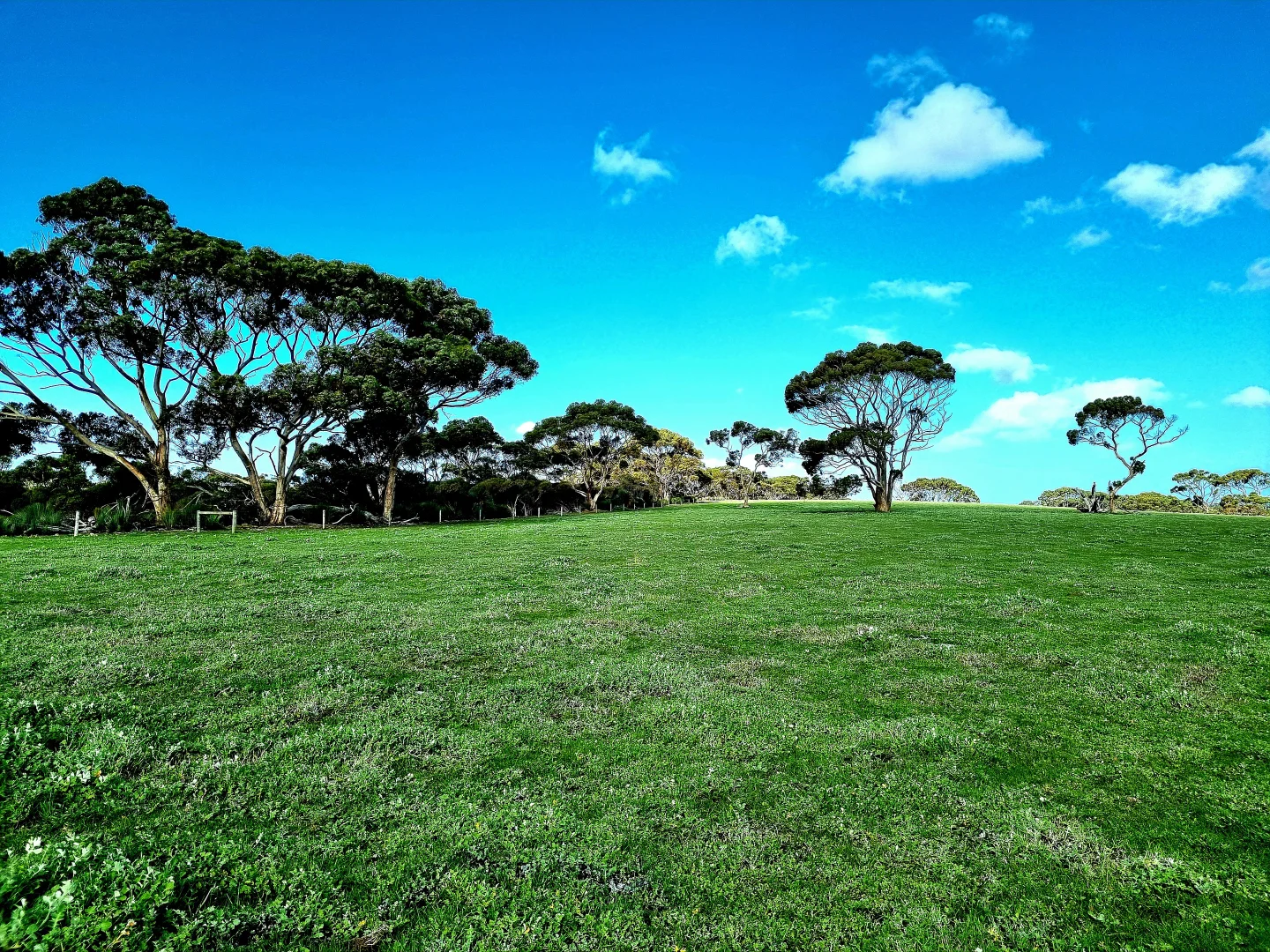 Additional image 11 of 958 Crabbs Road, Newland SA 5223