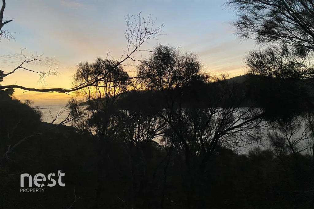 Additional image 11 of 156B Apex Point Road, White Beach TAS 7184