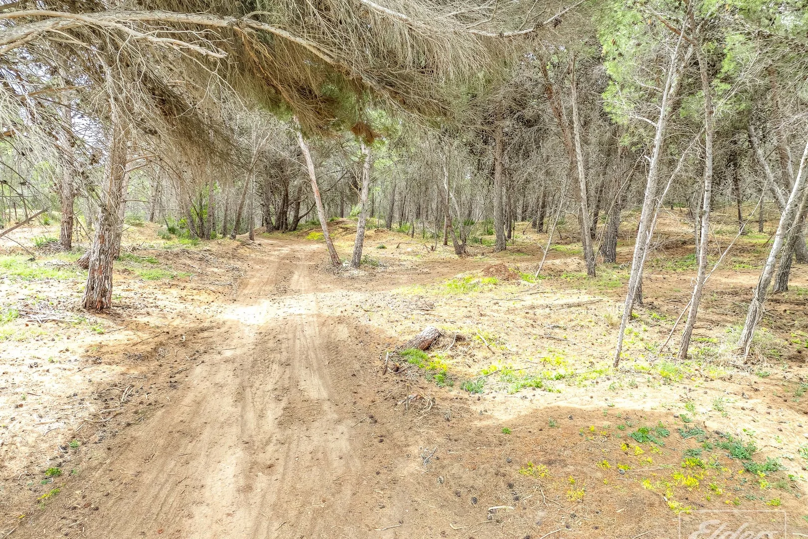 Additional image 7 of Lot 20&22 Randell Road, Hindmarsh Island SA 5214