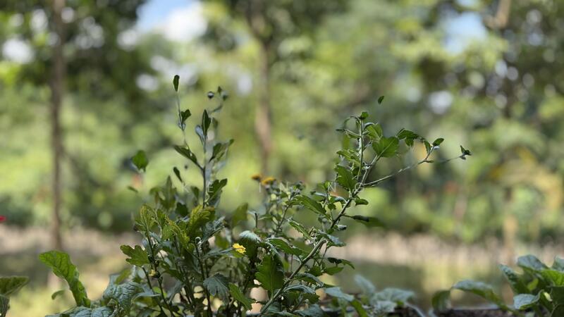 Additional image 4 of Bedok Reservoir Road