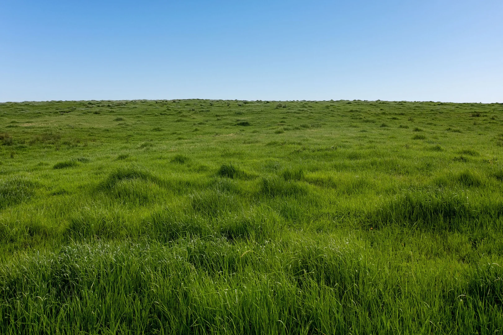 Additional image 20 of 1036 Taggerty - Thornton Road, Thornton VIC 3712