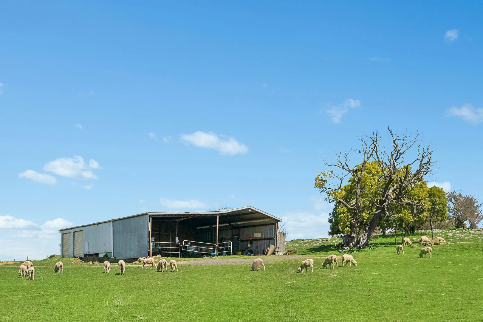 Additional image 14 of 565 Nyes Gate Road, Millthorpe NSW 2798