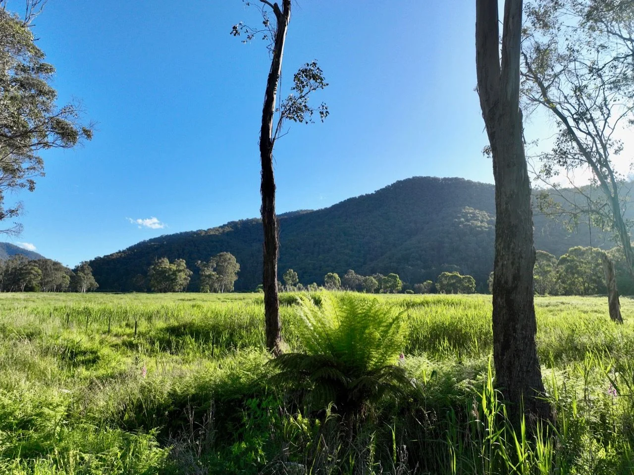 Additional image 13 of Smoko VIC 3741