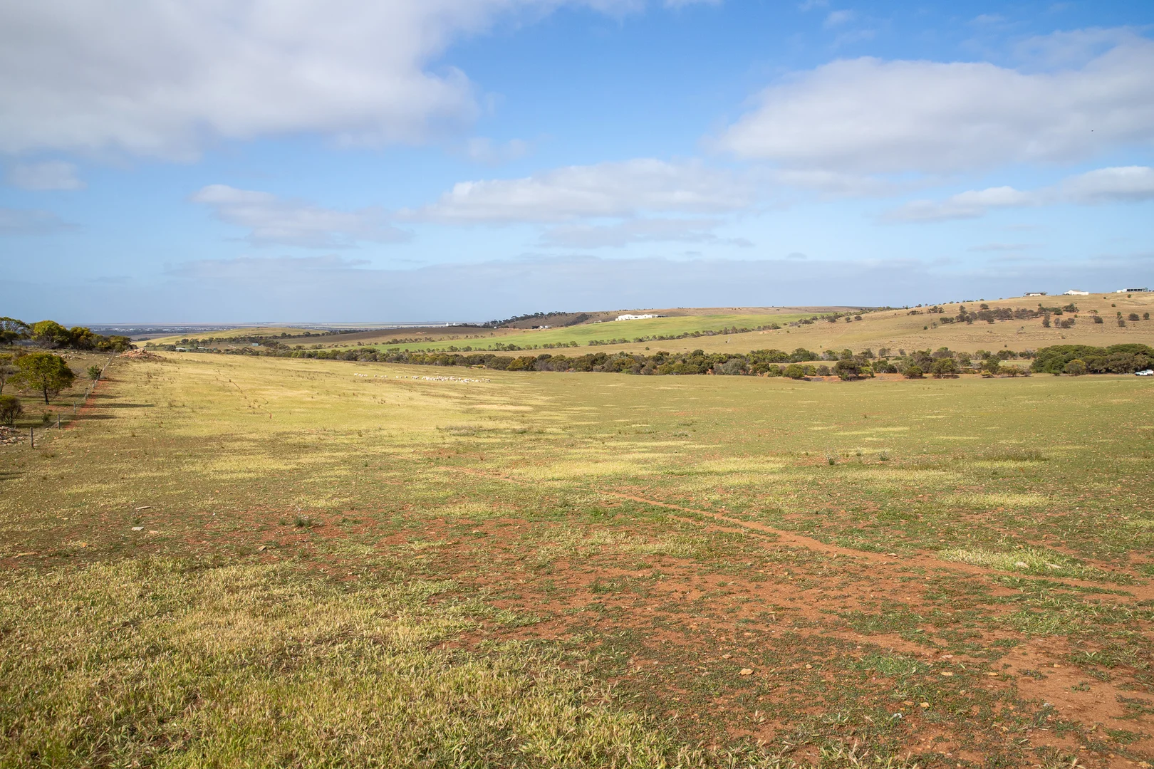 Additional image 20 of Lots 99 & Bawdens Road, Lipson SA 5607