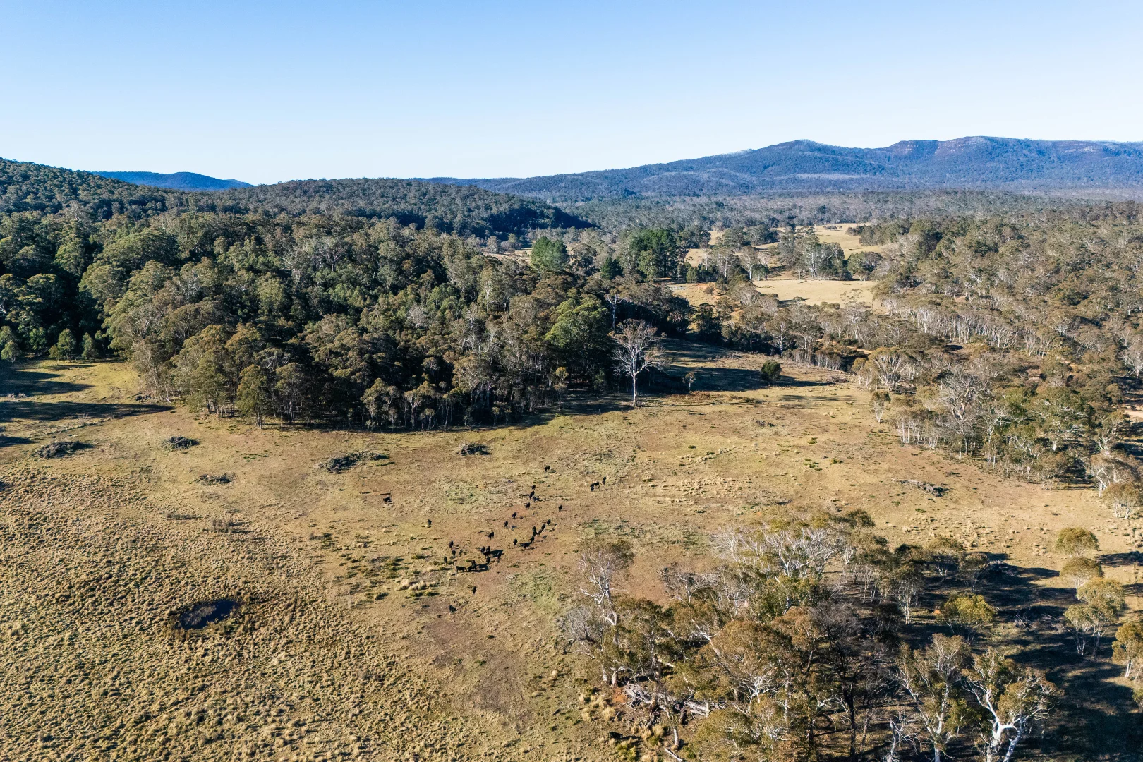 Additional image 30 of 1974 Tuross Road, Kybeyan NSW 2631