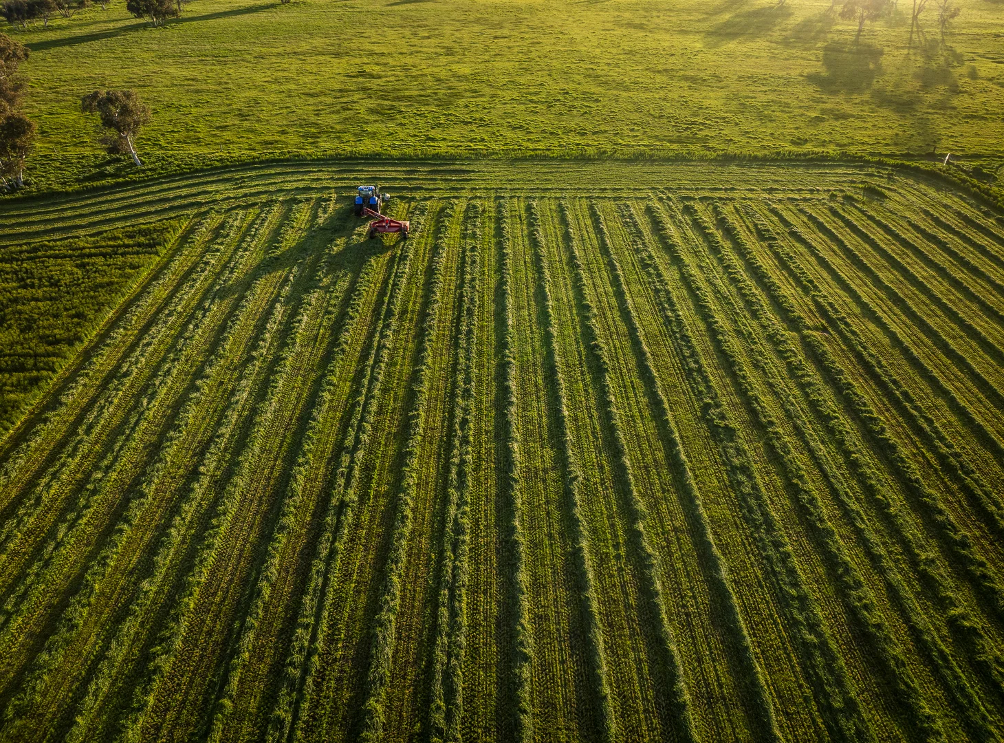 Additional image 21 of 325 Maranoa Downs Road, Stewart Range SA 5271