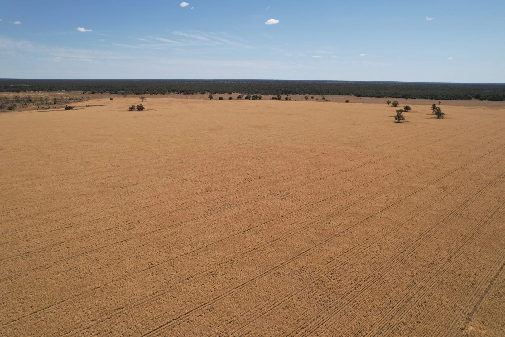 Additional image 8 of 3282 Gungalman Road, Carinda NSW 2831