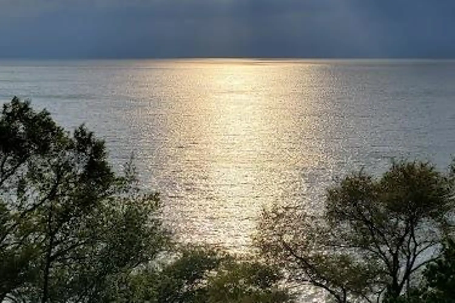 Additional image 13 of 701 Geneva Street 1504