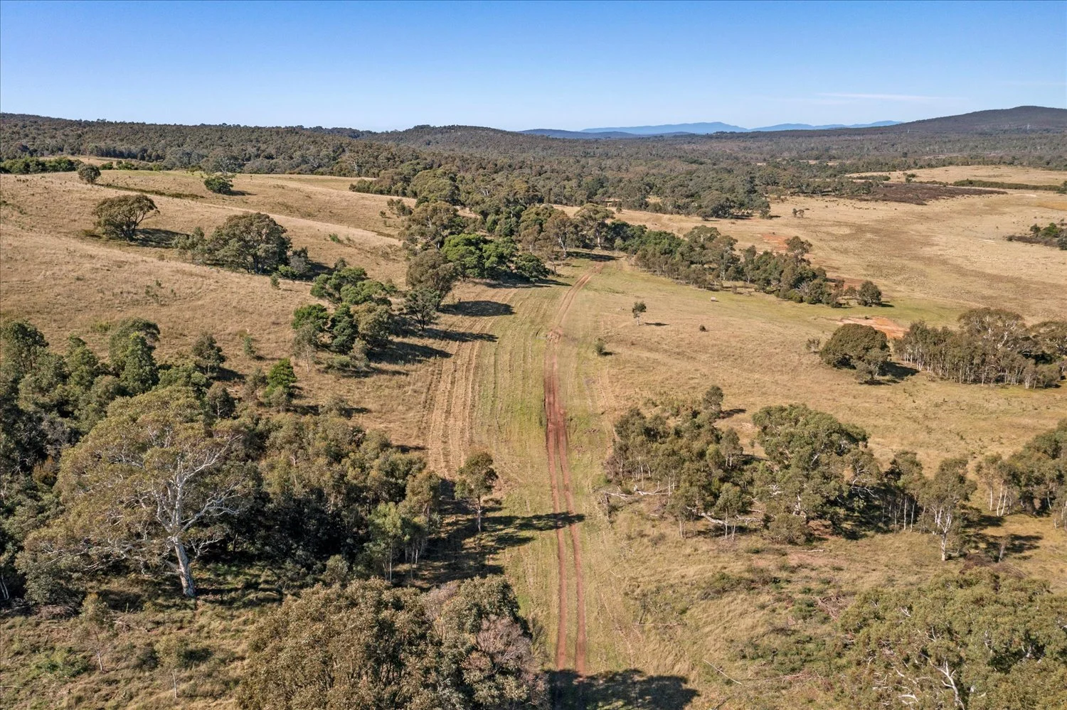 Additional image 48 of 134 Lakeview Road, Tarago NSW 2580