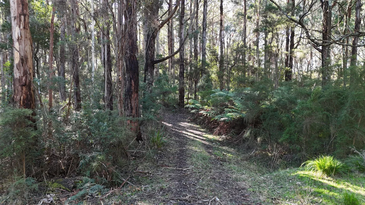 Additional image 2 of 318 Old Ocean Road, Glenaire VIC 3238