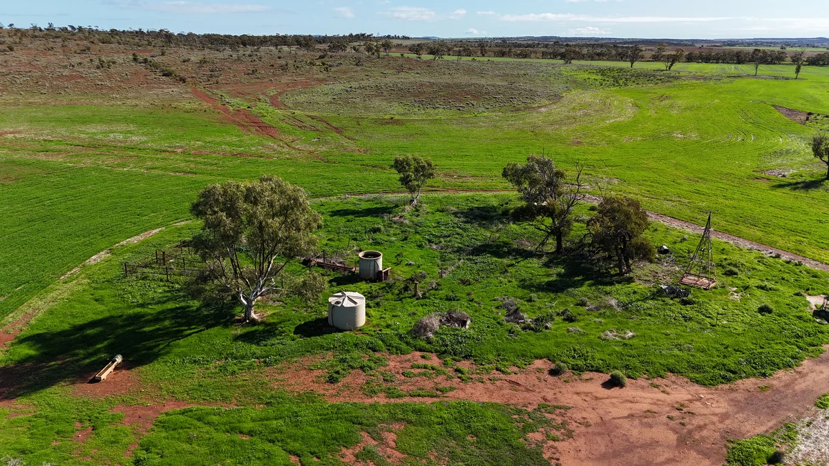Additional image 5 of 697 Solomon Road, Perenjori WA 6620