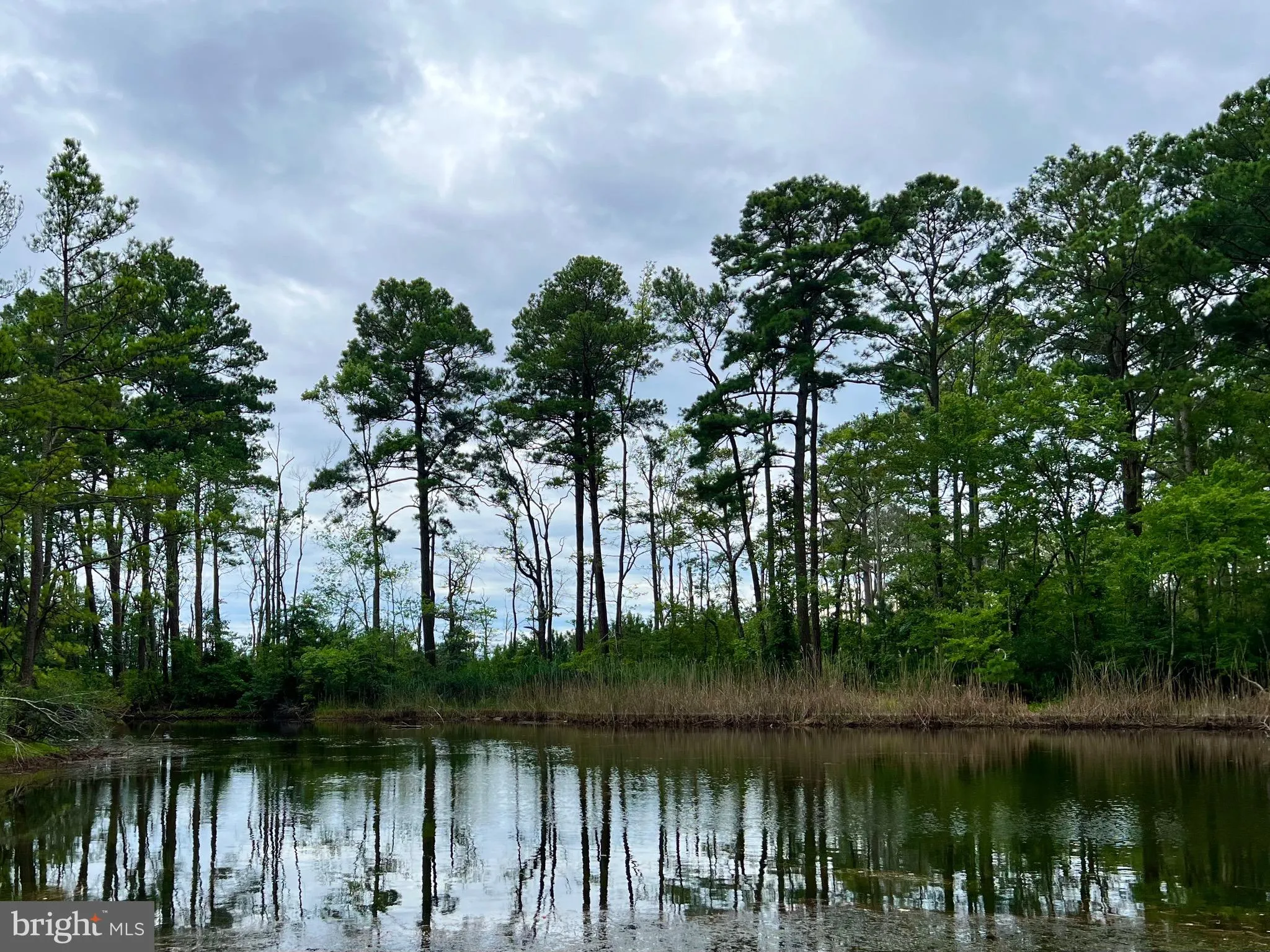 Additional image 104 of 38057 Pine Needle Lane, Frankford, DE 19945