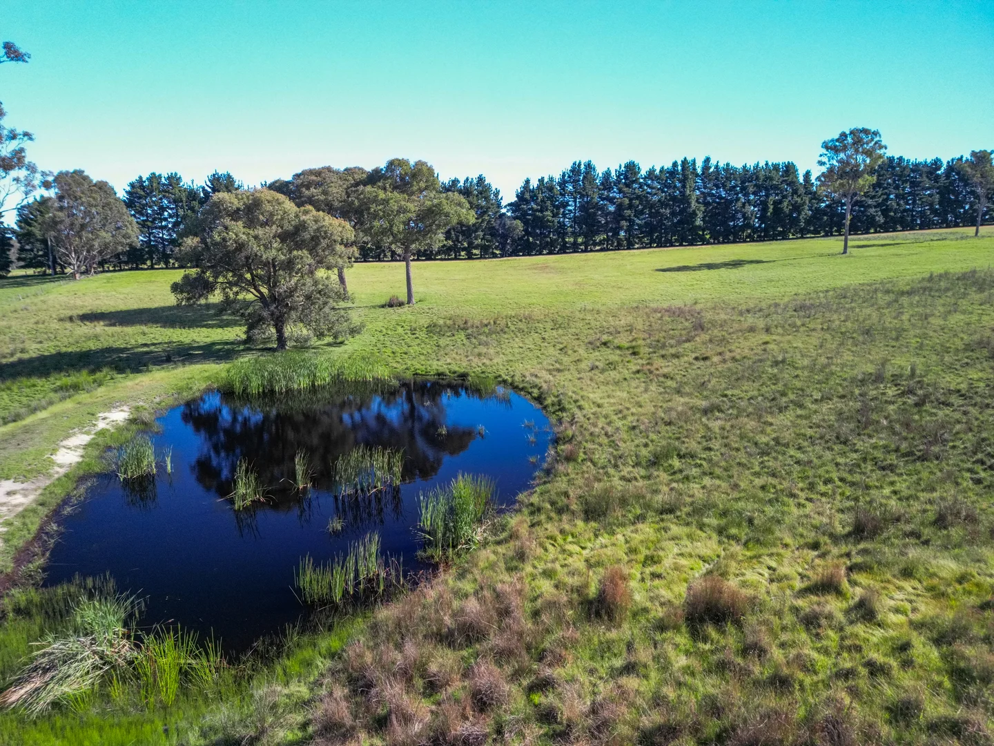 Additional image 9 of 500 Olivers Rd, Nicholson VIC 3882