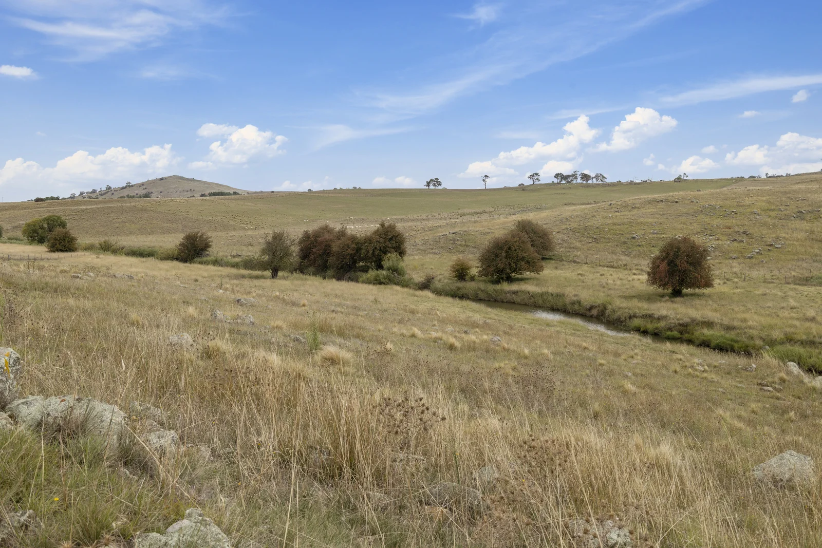 Additional image 11 of Lot 15 & 16 Barton Highway, Murrumbateman NSW 2582