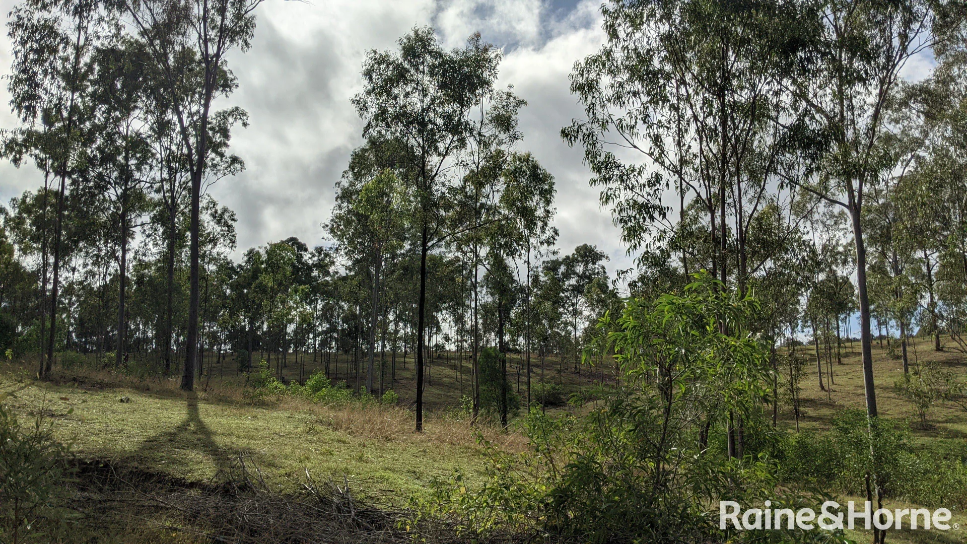 Additional image 29 of Lot 38 Tenningering Road, Good Night QLD 4671