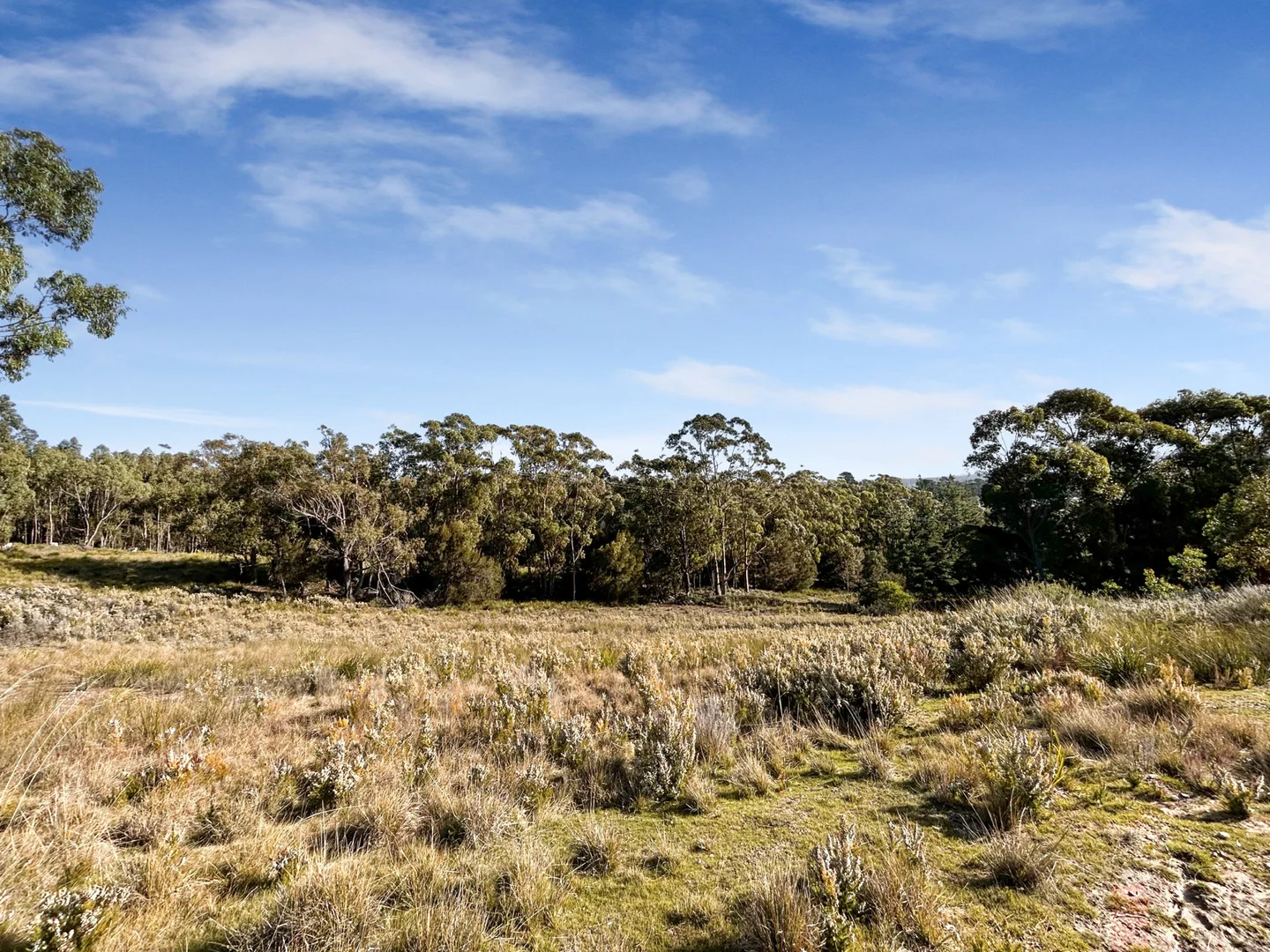 Additional image 11 of 35a Falmouth Street, St Helens TAS 7216