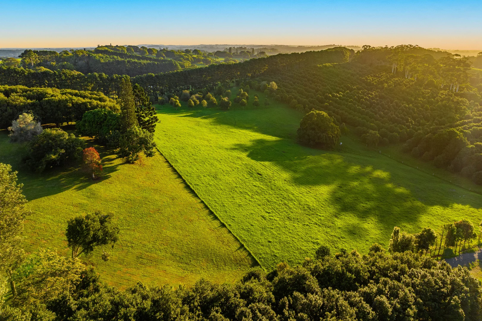 Additional image 31 of 175 Old Byron Bay Road, Newrybar NSW 2479