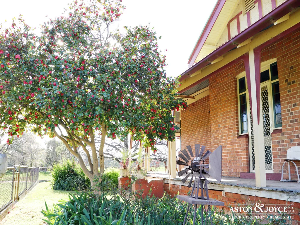 Additional image 19 of 3378 Mid Western Highway, Grenfell NSW 2810