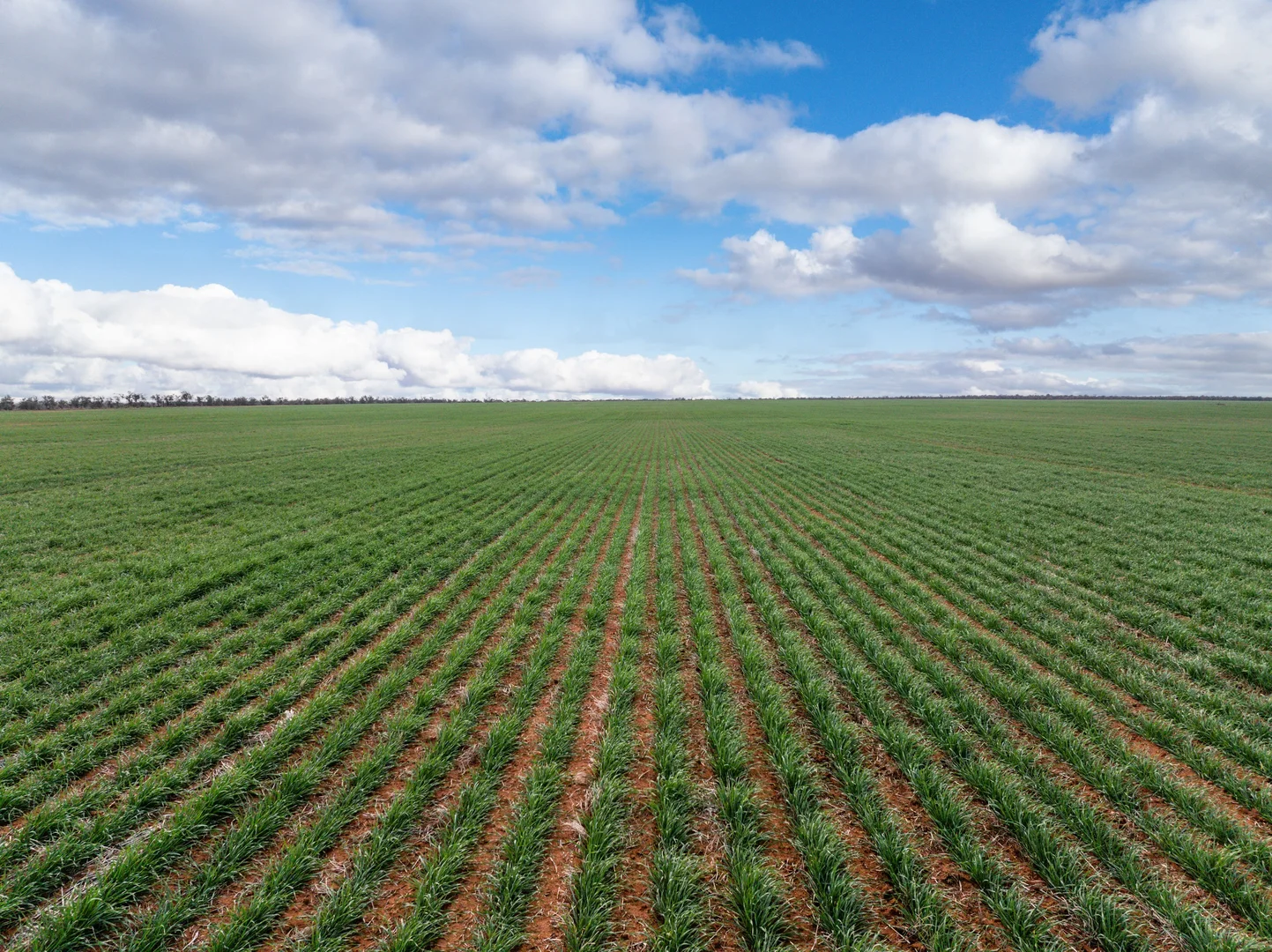 Additional image 19 of 2423 Petro Mail Road, Arumpo NSW 2715