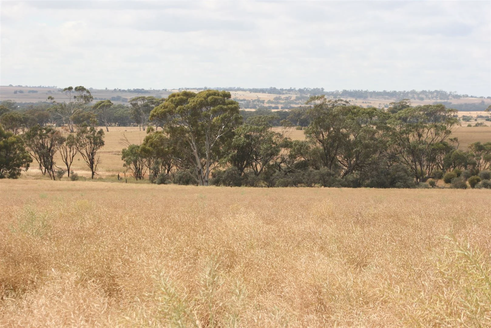 Additional image 7 of . Madews, Jennacubbine WA 6401