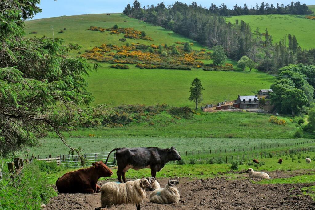 Additional image 11 of Upper Lynemore, Keith, AB55 5PT