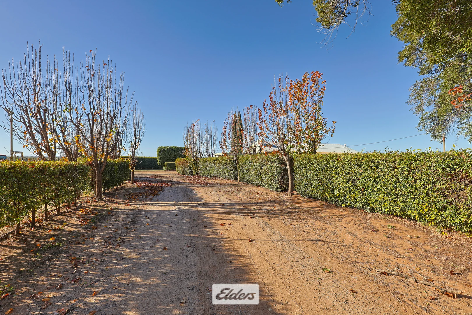 Additional image 39 of 178 Arumpo Road, Mourquong NSW 2739