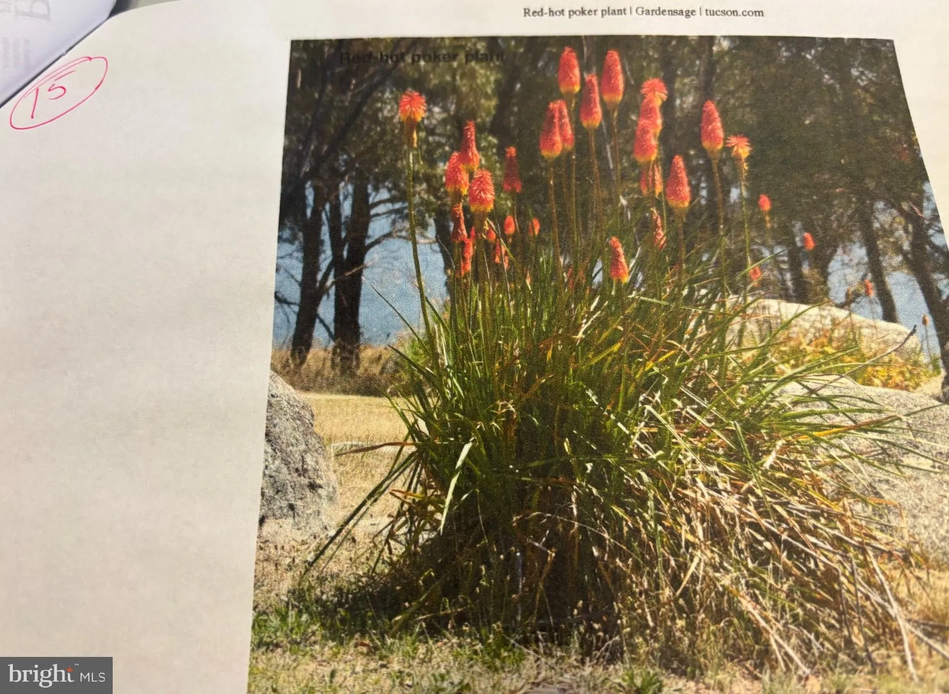 Additional image 135 of 6 Bradley Circle, Middletown, DE 19709