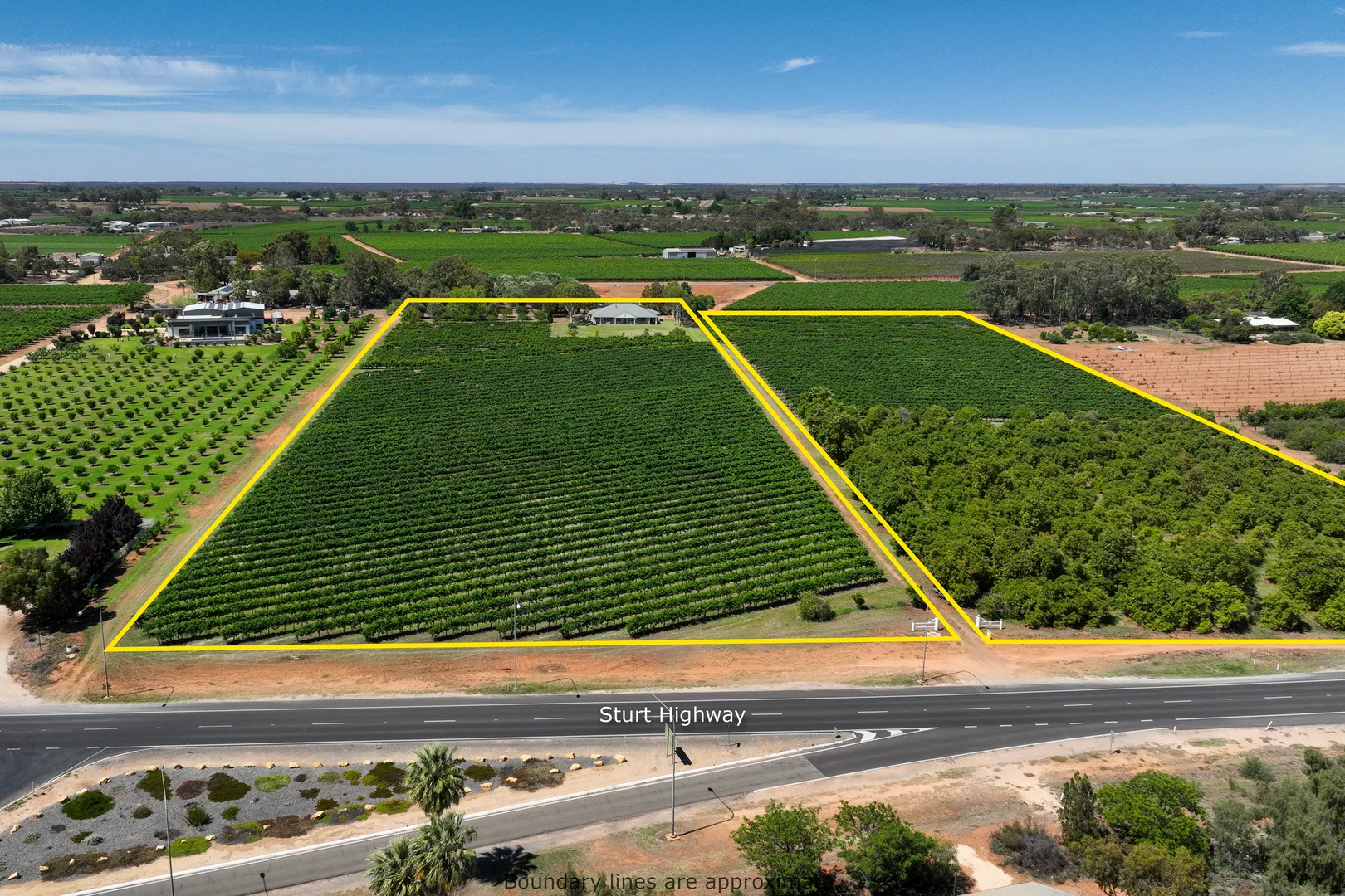 Additional image 4 of 17356 Sturt Highway, Barmera SA 5345