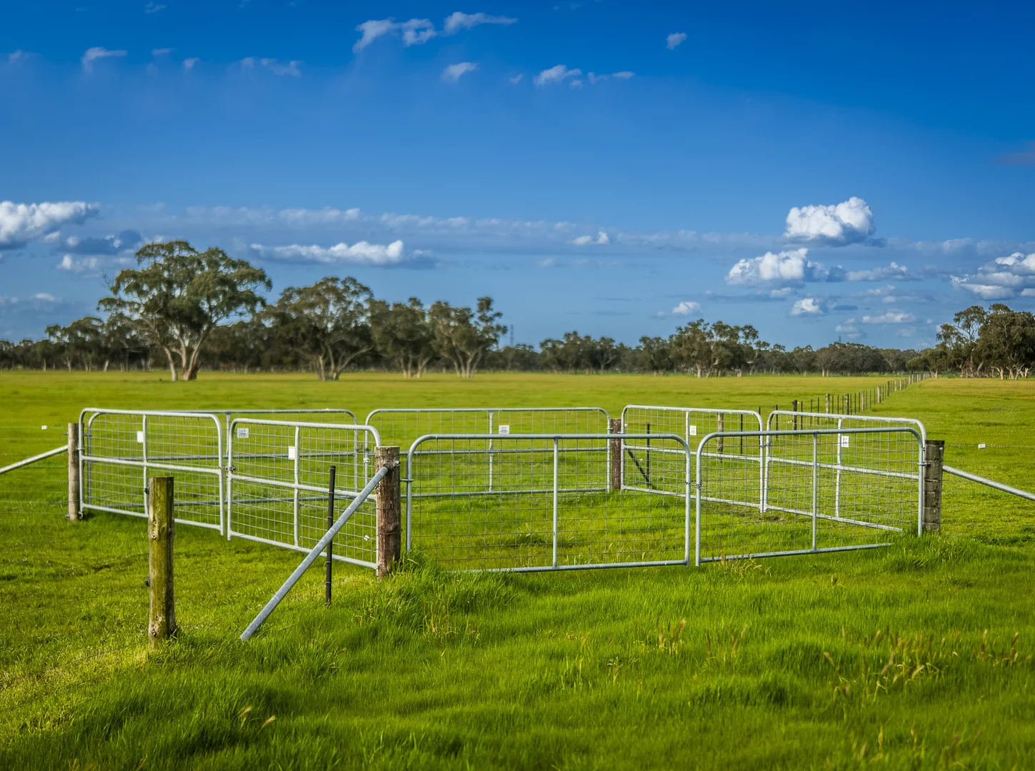 Additional image 13 of 325 Maranoa Downs Road, Stewart Range SA 5271