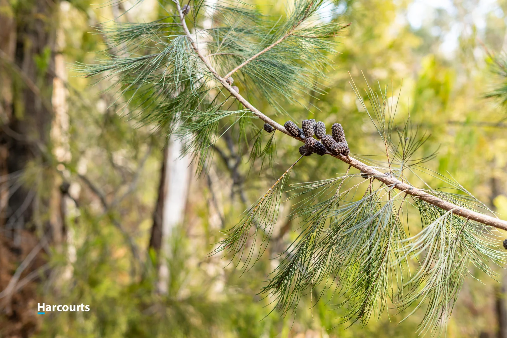 Additional image 20 of 44 Klasen Road, Police Point TAS 7116