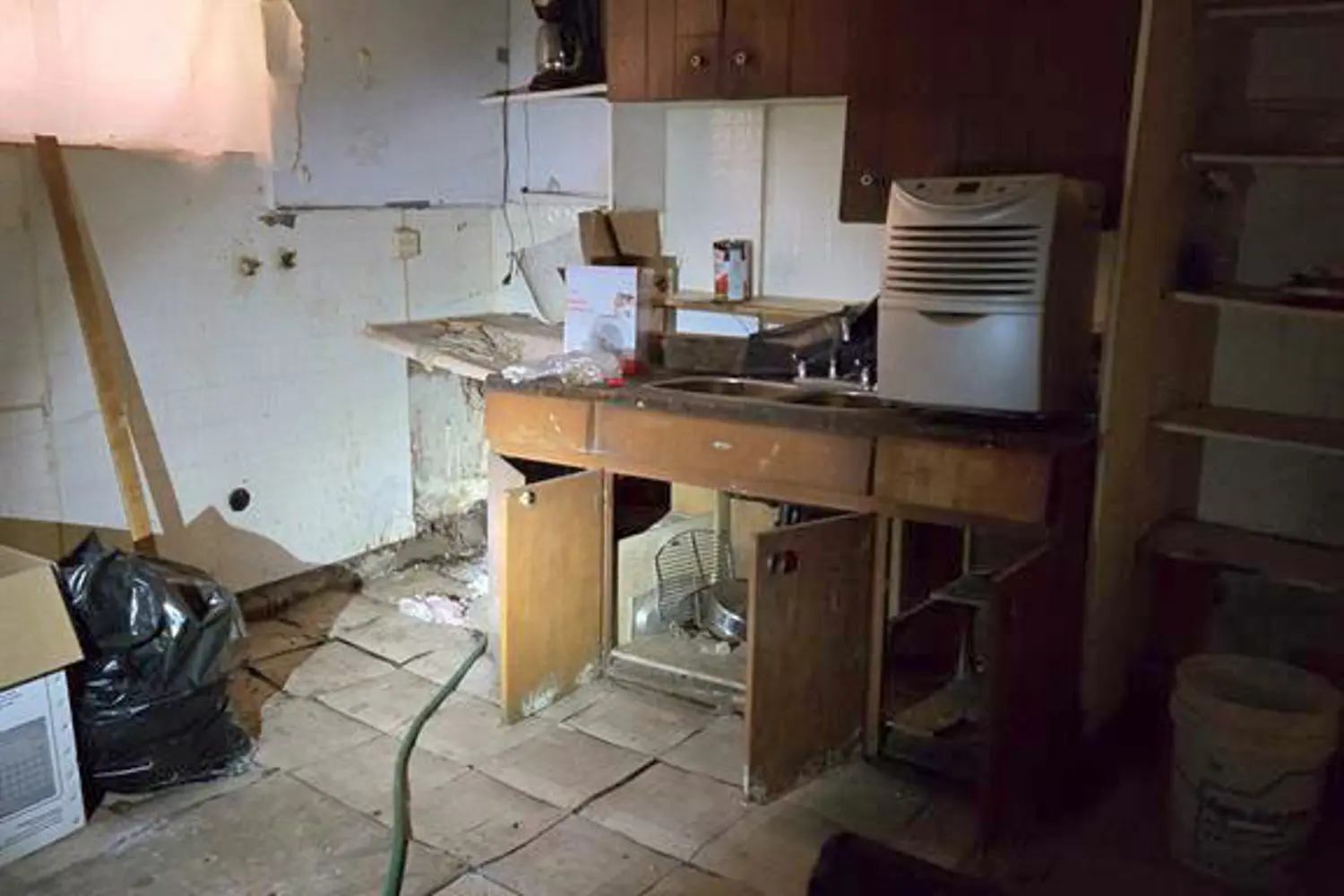 Additional image 15 of 4689 Crysler Avenue