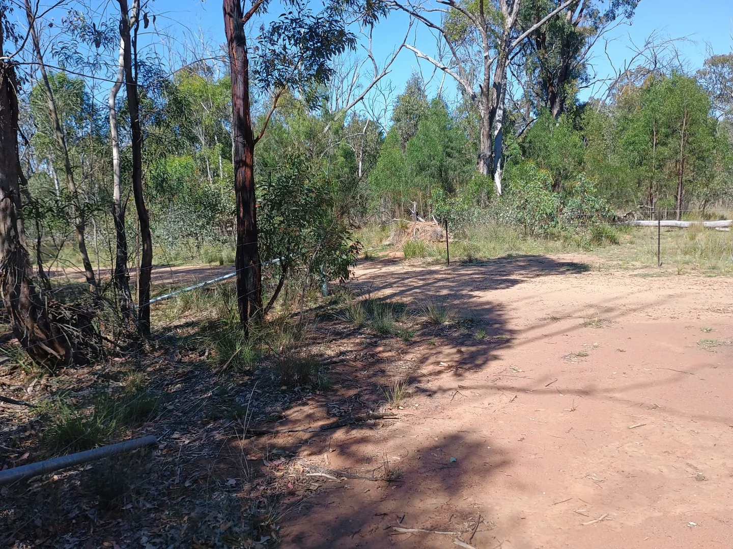 Additional image 14 of Coolah NSW 2843