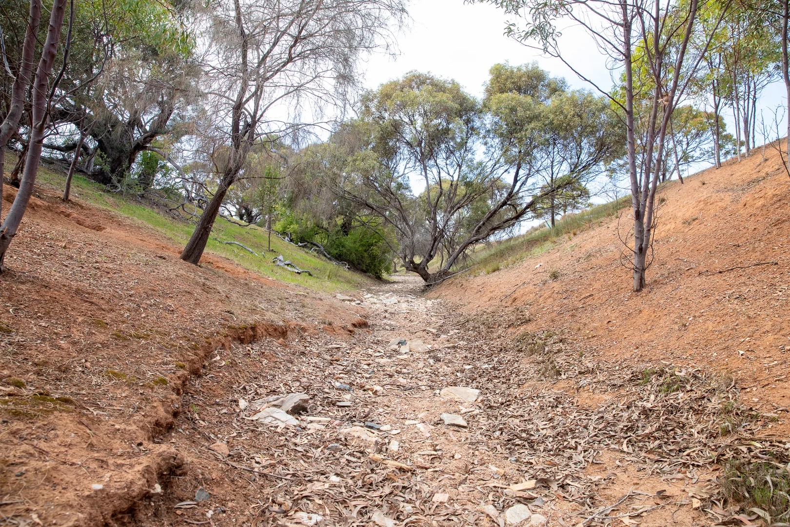 Additional image 8 of Lots 99 & Bawdens Road, Lipson SA 5607