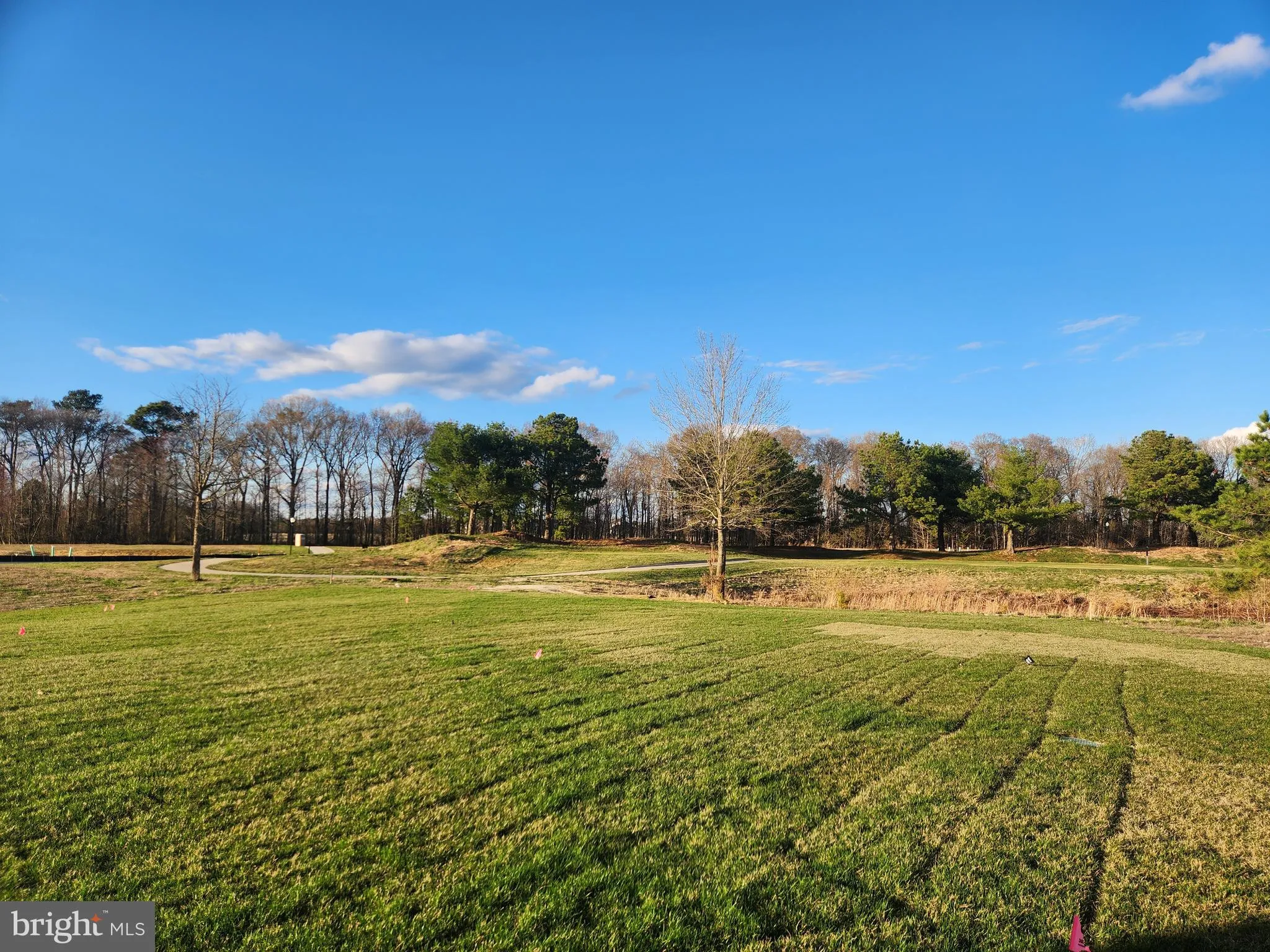 Additional image 56 of 377 Waterside Square, Bridgeville, DE 19933