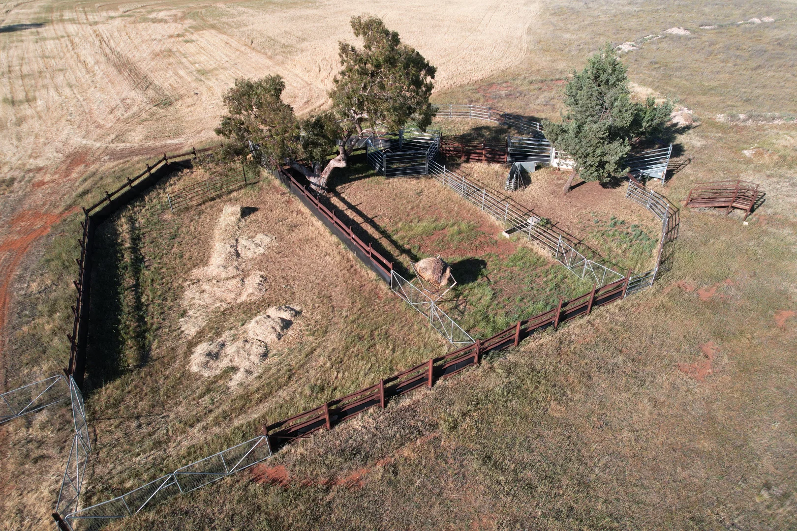 Additional image 11 of 'Boree Glen' 456 Whymarks Lane, Tullibigeal NSW 2669