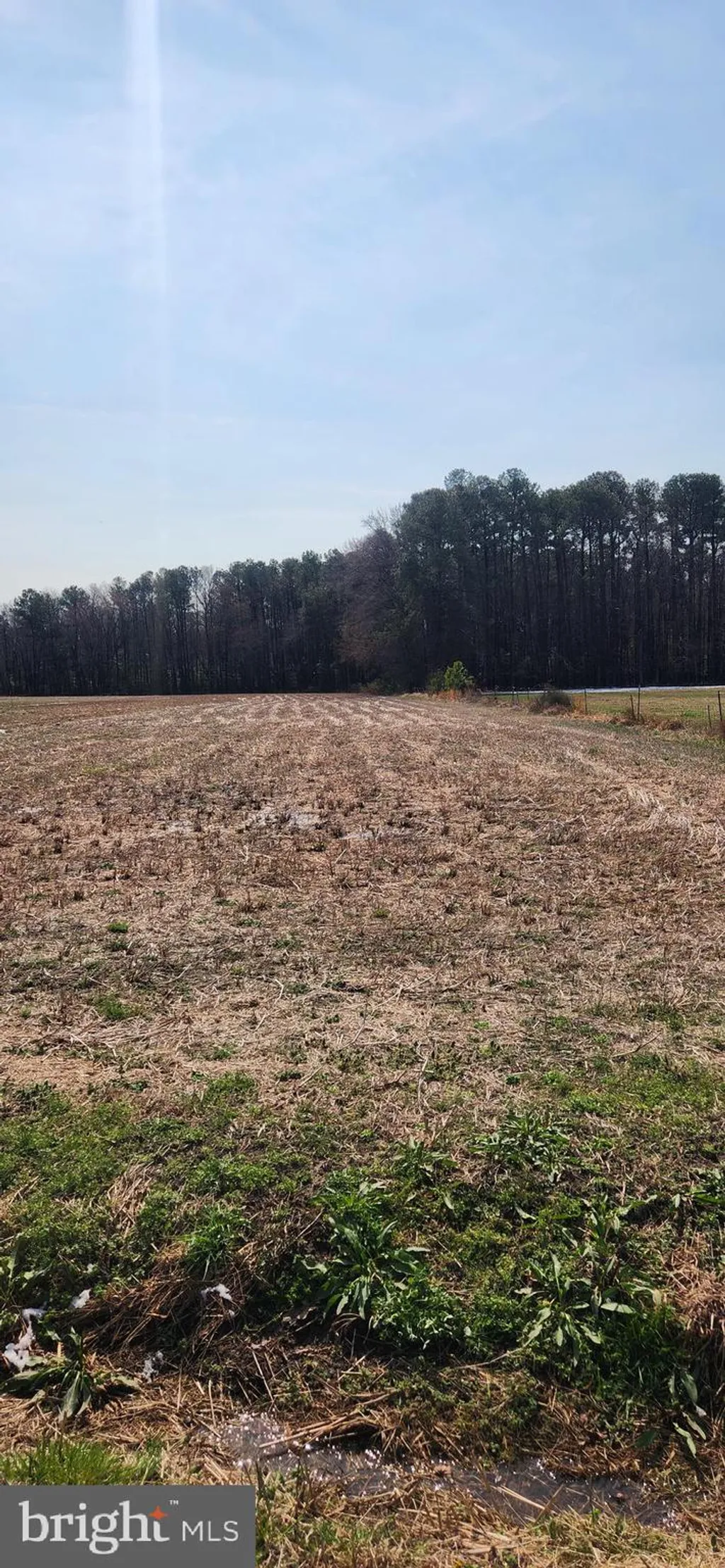 Additional image 3 of Lot 1 Pepperbox Road, Laurel, DE 19956