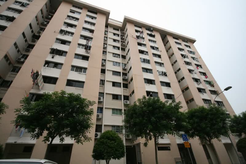 Additional image 8 of 229 Jurong East Street 21