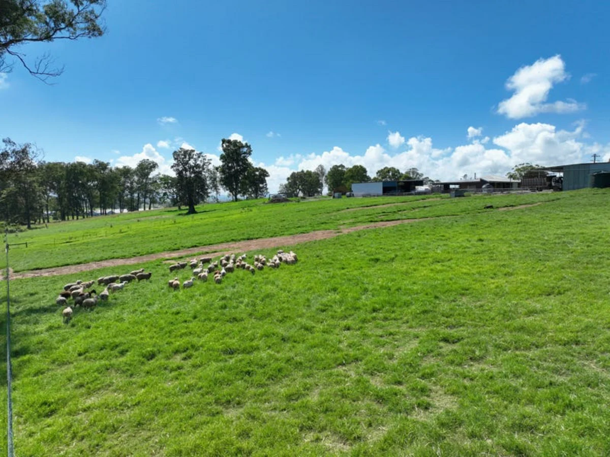 Additional image 13 of 340 Old Dyraaba Road, Woodview, Casino NSW 2470