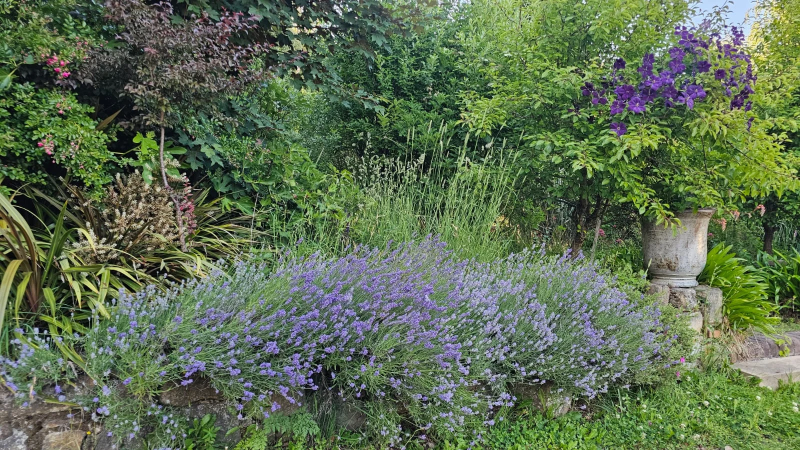 Additional image 17 of Willowvale Mill, Mill Road, Laggan NSW 2583