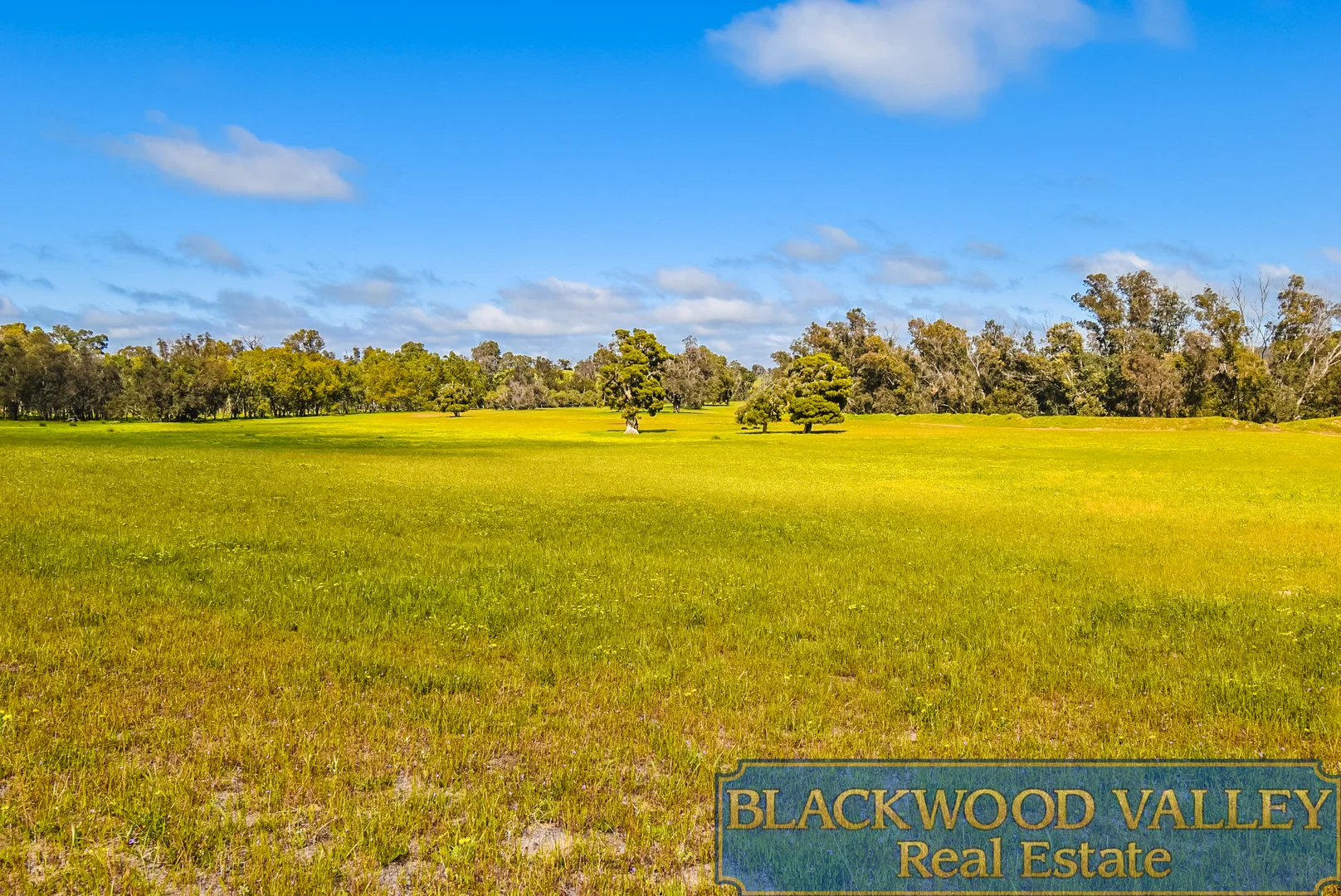 Additional image 8 of 186 Blechynden Road, Dinninup WA 6244