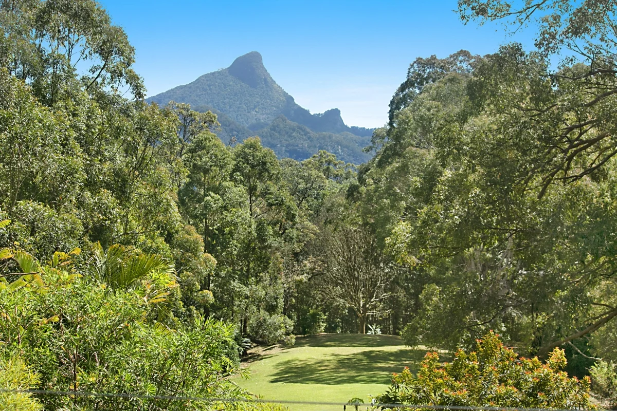 Additional image 3 of 89 Chowan Creek Road, Chowan Creek NSW 2484