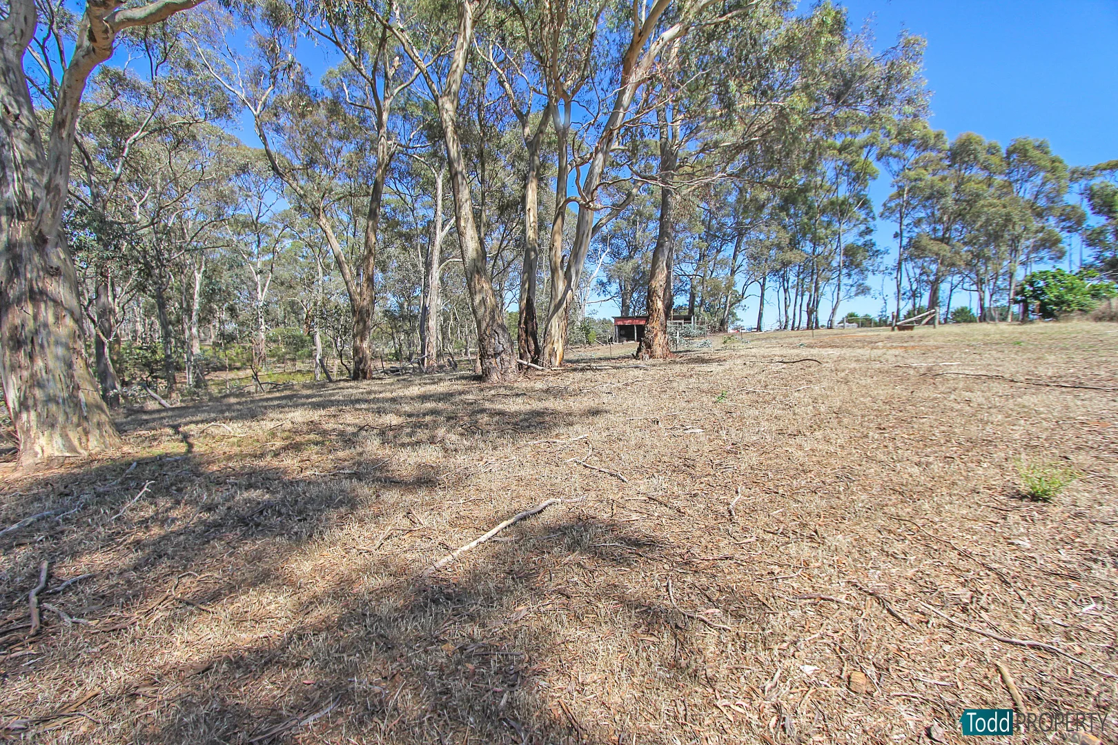 Additional image 10 of 2 Ellis Road, Heathcote VIC 3523