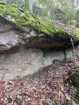 Additional image 18 of 52A Lilly Pilly Lane, Tapitallee NSW 2540