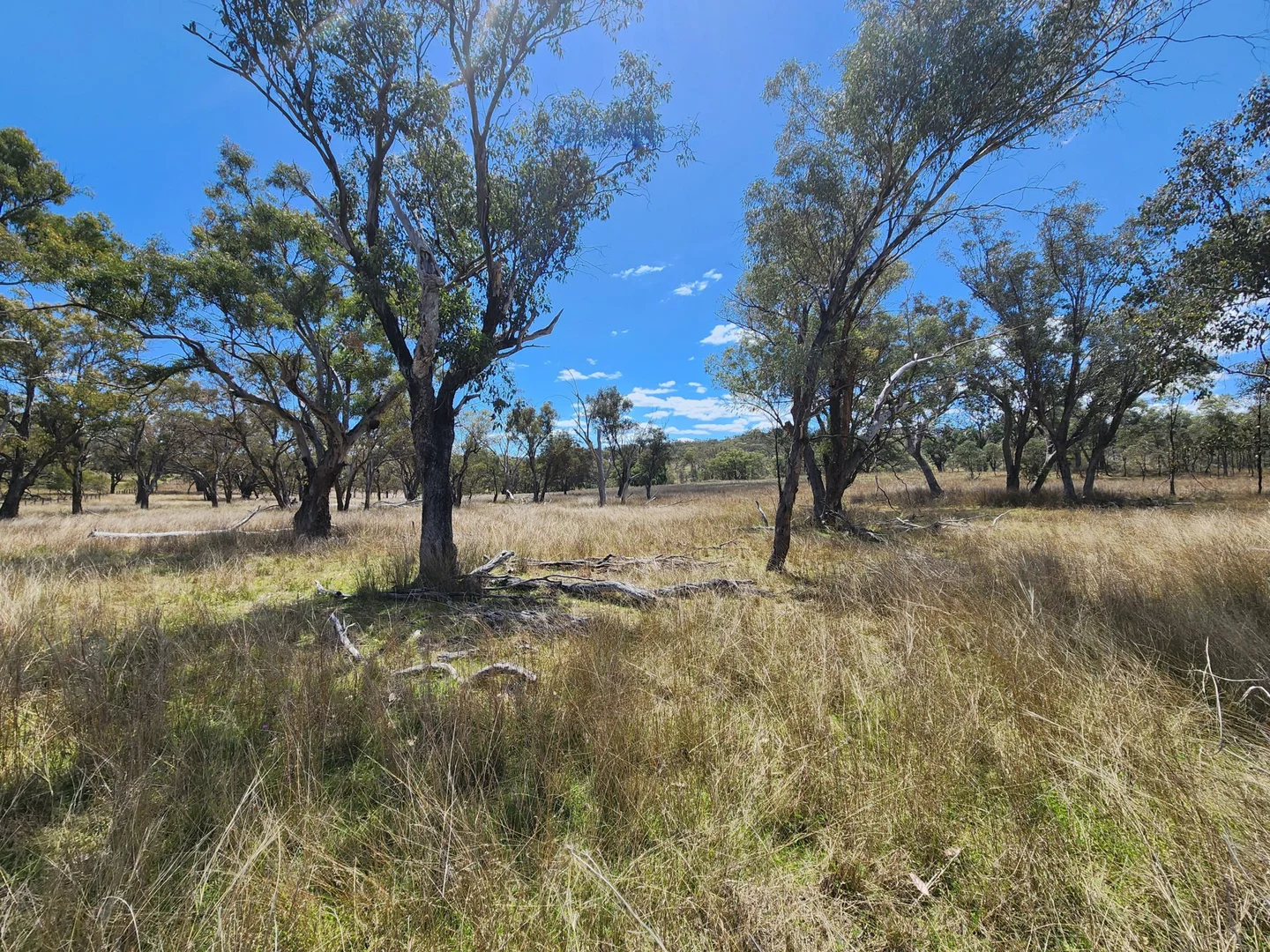 Additional image 2 of Lot 2 Stanthorpe Texas Road, Stanthorpe QLD 4380