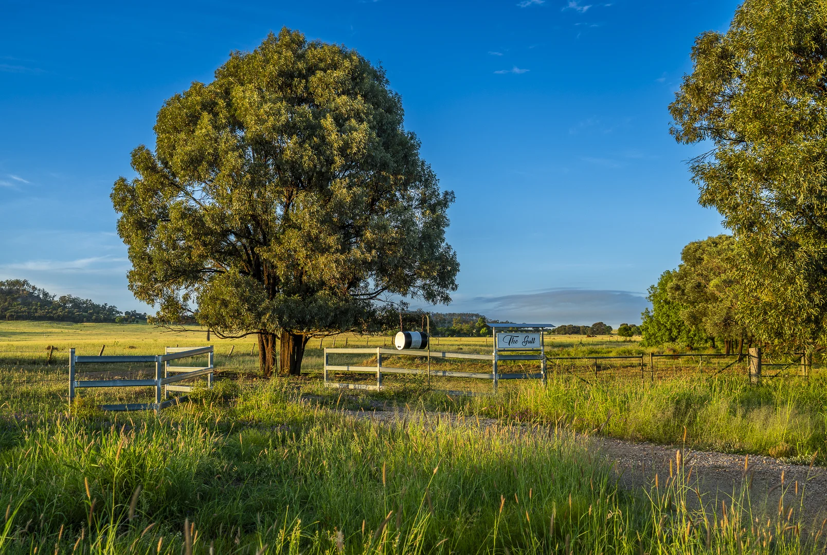 Additional image 25 of 833 Fosters Road, Guluguba QLD 4418