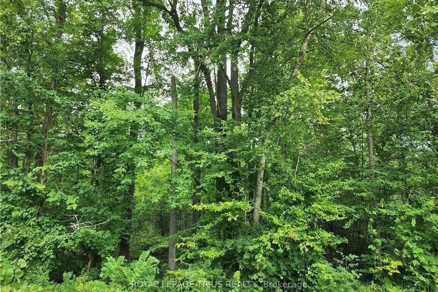 Additional image 3 of Pt Lt 20 7Th Concession Road