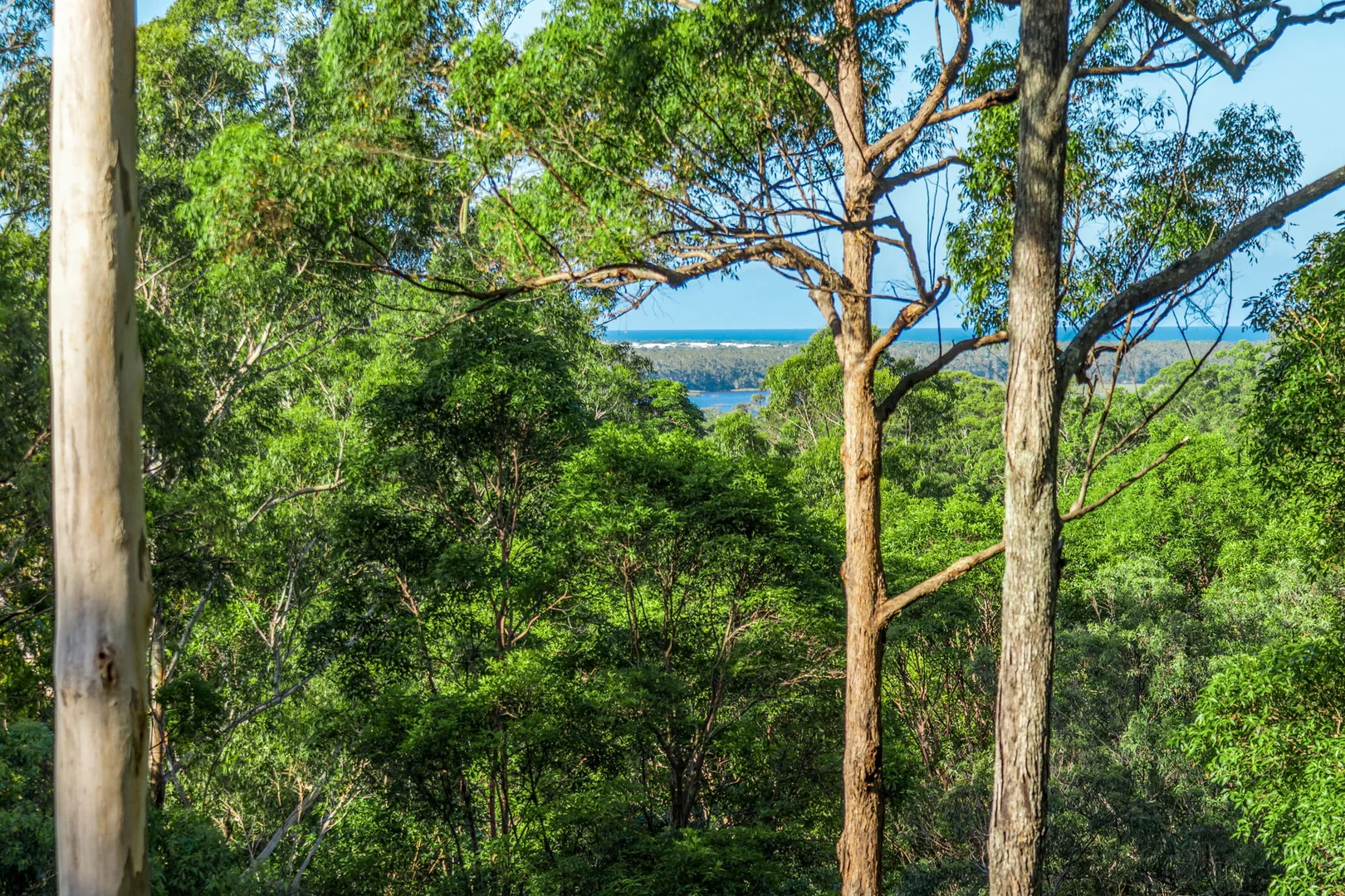 Additional image 21 of Emerald Mountain View, Tanglewood NSW 2488